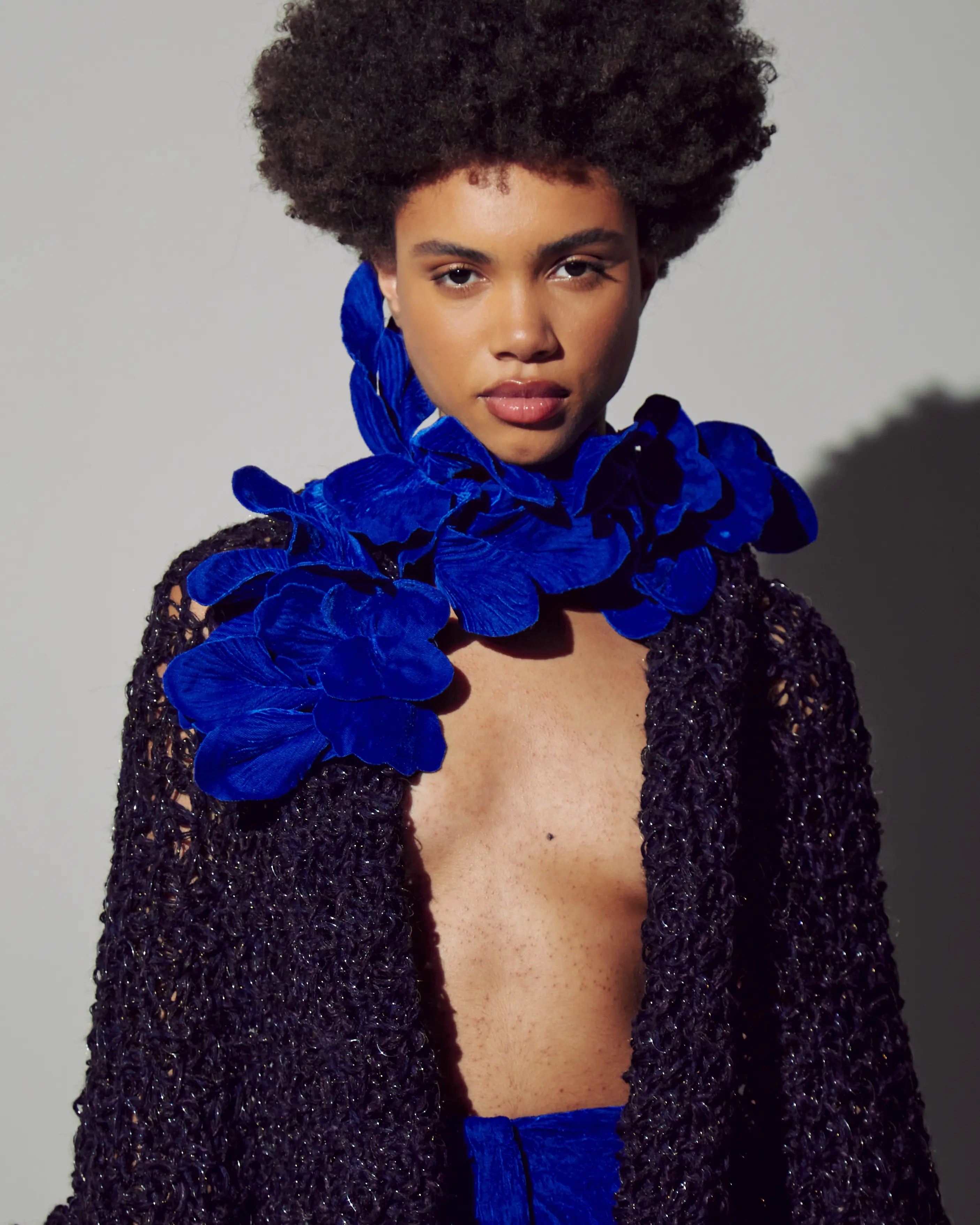 Velvet Orchid Flower